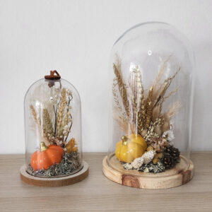 Collection de Cloches d'Automne