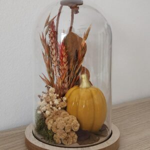Collection de Cloches d'Automne