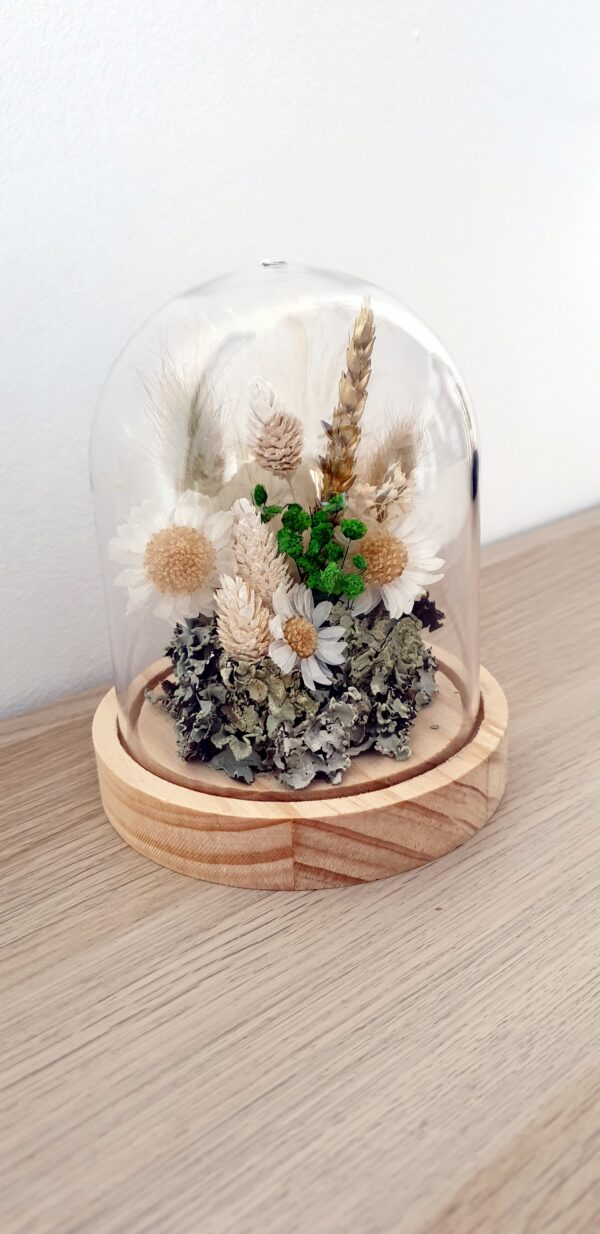Cloches Décoratives – Thèmes Mer, Automne et Champêtre – Image 2
